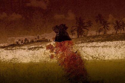 Looking for Mikelson (II): Police Kill in Punta Cana