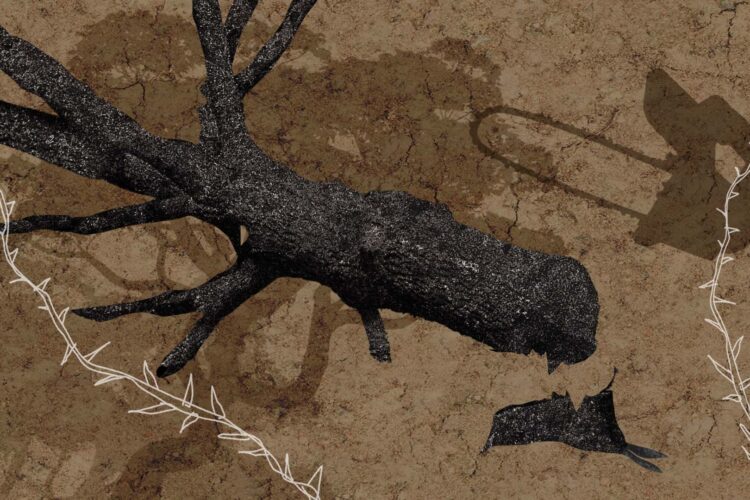 Ilustración: Donají Marcial